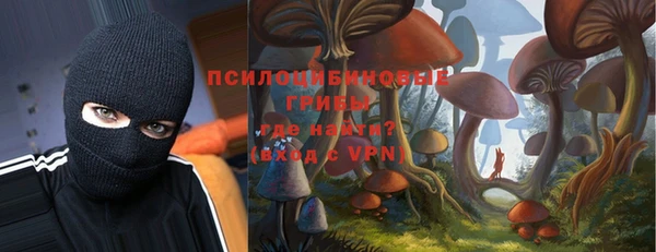 мяу мяу кристалл Арсеньев