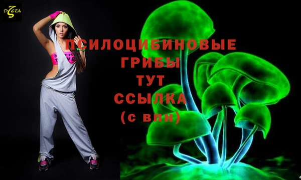 кокс Нягань
