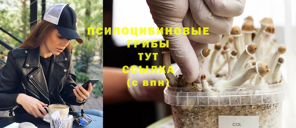 ешки Армянск